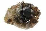 Dark Smoky Quartz Crystal Cluster - Brazil #84814-1